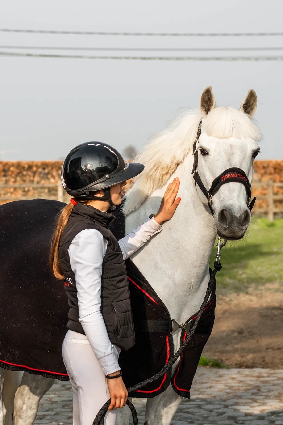 A rider with a horse wearing a HorseTONIC halter